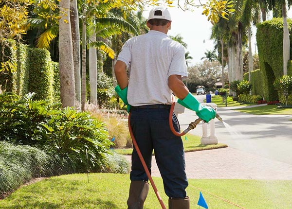 About Riddleton TN Pest Control Pros